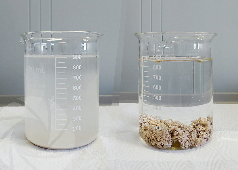 Flocculation test of resorcinol glue cleaning water