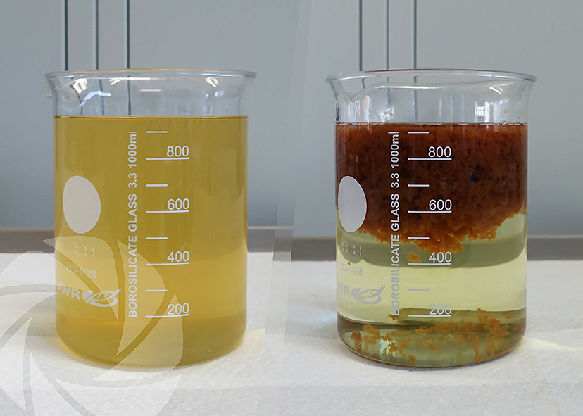 Wash water from detergents and disinfectants